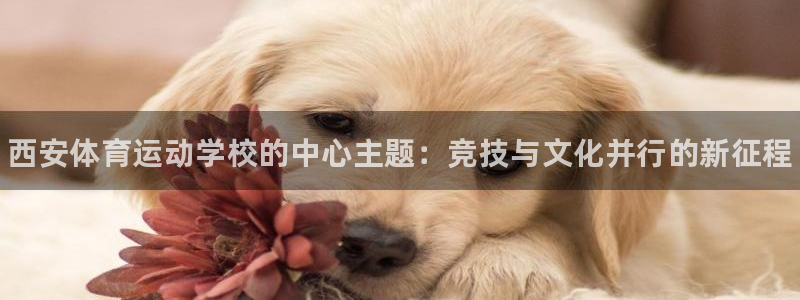 利记官网下载平台注册要钱吗：西安体育运动学校的中心主