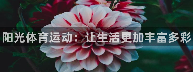海南利记官网下载：阳光体育运动：让生活更加丰富多彩