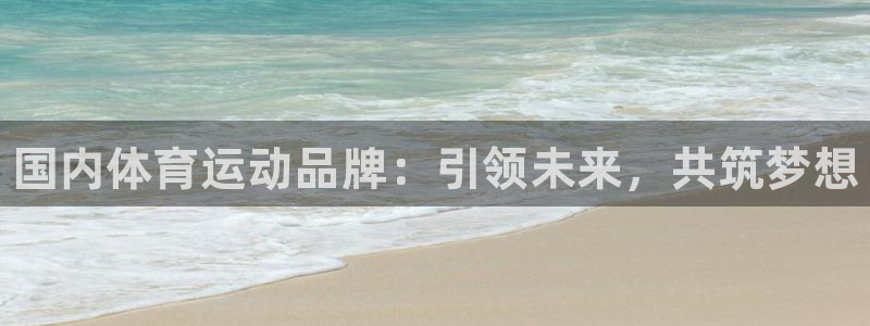 利记官网下载招商：国内体育运动品牌：引领未来，共筑梦想