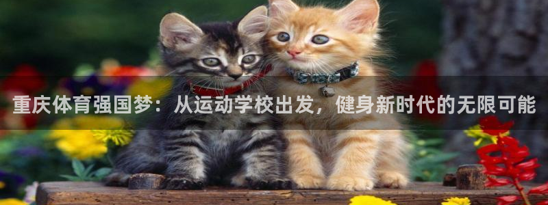 利记官方正版app娱乐是那个系列的台子：重庆体育强国
