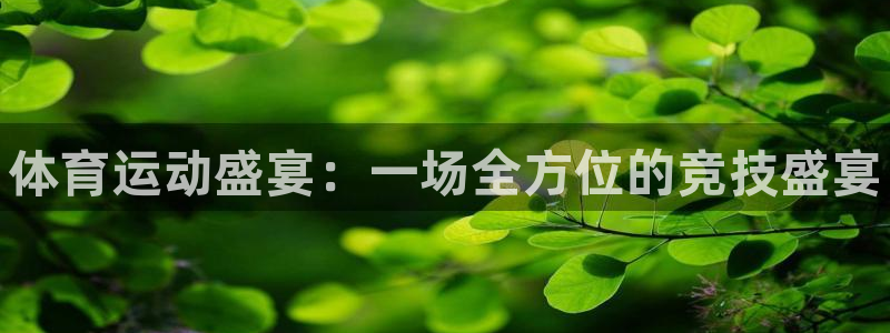 利记官网下载注册：体育运动盛宴：一场全方位的竞技盛宴