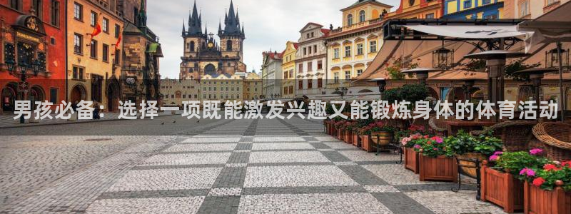 利记官网下载平台注册流程图：男孩必备：选择一项既能激