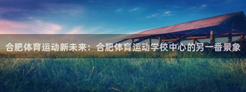 利记官网下载平台注册要钱吗安全吗：合肥体育运动新未来：合肥体