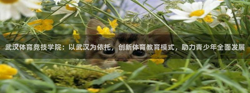 利记官网下载招商电话号码查询是多少：武汉体育竞技学院：以武汉