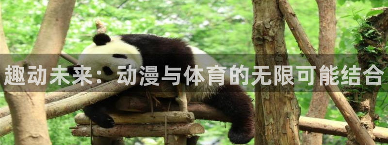 利记官方正版app娱乐代理怎么样：趣动未来：动漫与体育的无限
