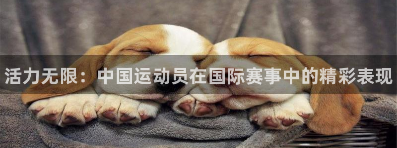 利记官网下载平台是正规平台吗安全吗