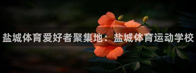 利记官网下载招商电话是多少
