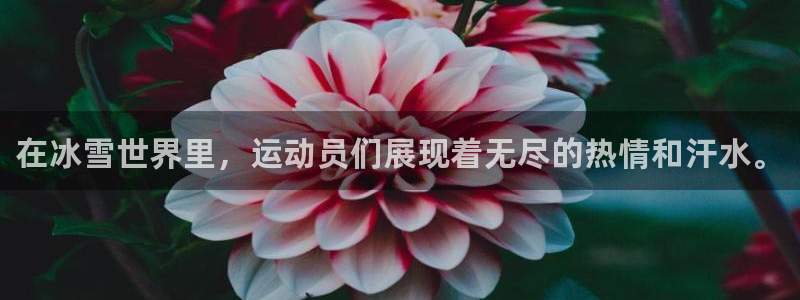 利记官方正版app科技：在冰雪世界里，运动员们展现着