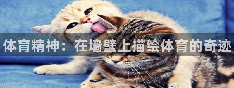利记官网下载平台注册要钱吗是真的吗：体育精神：在墙壁