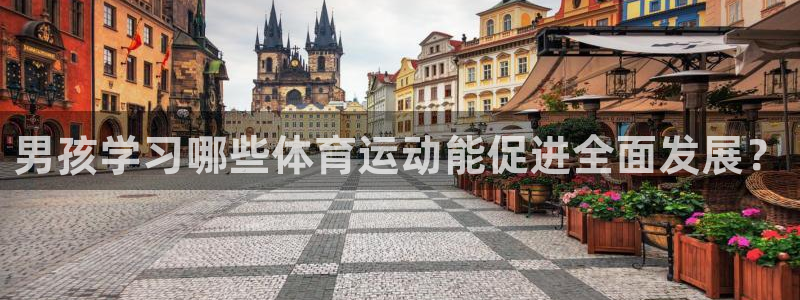 利记官方正版app娱乐是那个系列的台子：男孩学习哪些体育运动