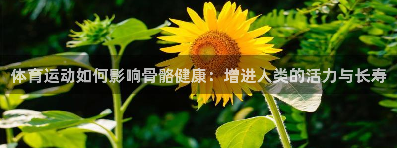 利记官方正版app官网