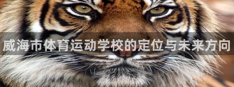 利记官网下载软件