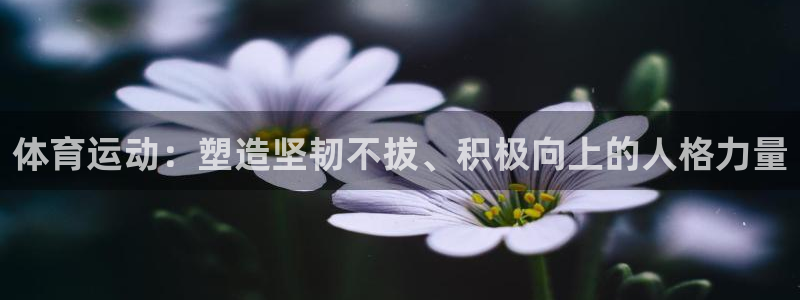 利记官方正版app科技：体育运动：塑造坚韧不拔、积极向上的人