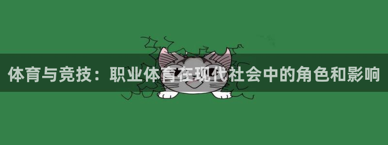 利记官网下载平台注册流程图：体育与竞技：职业体育在现
