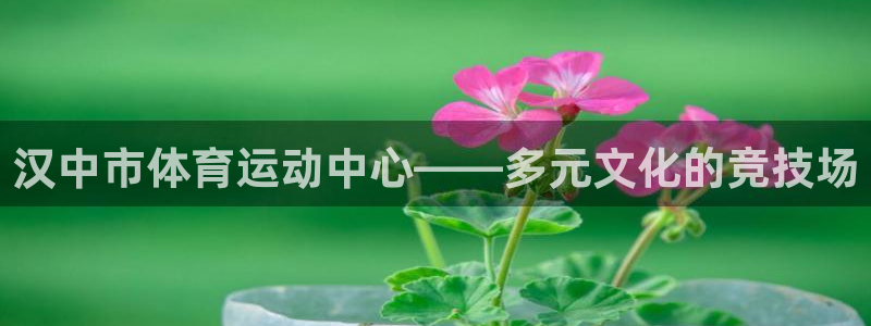 注册利记官方正版app：汉中市体育运动中心——多元文
