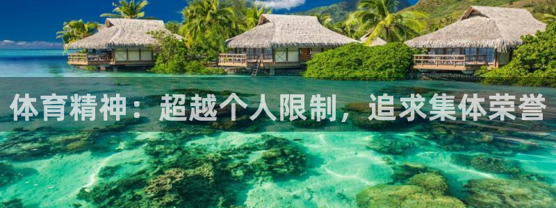 利记官方正版app五金厂：体育精神：超越个人限制，追求集体荣