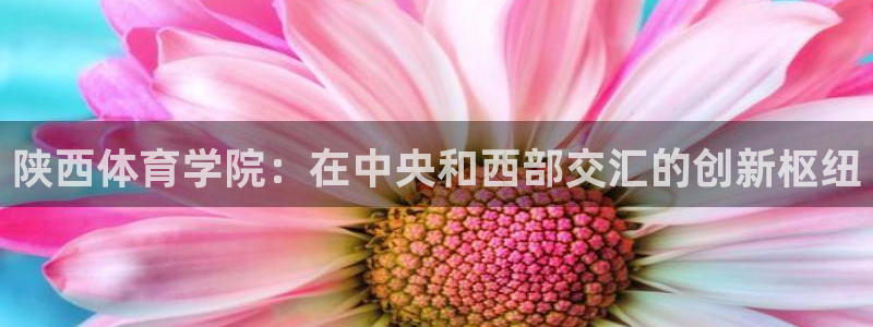 利记官网下载平台注册流程图：陕西体育学院：在中央和西