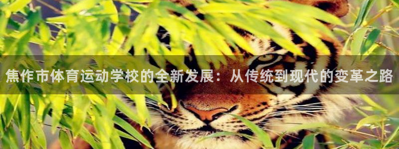 利记官网下载平台是正规平台吗知乎：焦作市体育运动学校