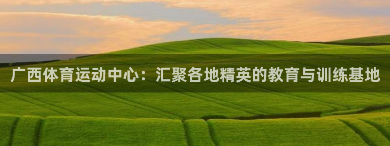 利记官网下载平台是正规平台吗安全吗：广西体育运动中心