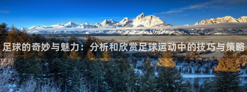 利记官方正版app代理：足球的奇妙与魅力：分析和欣赏