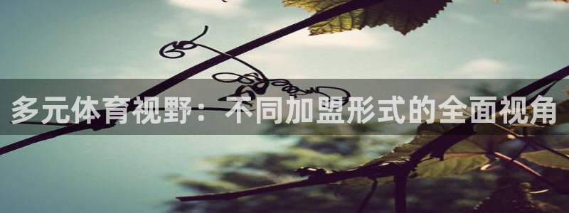 利记官网下载平台假的吗是真的吗吗：多元体育视野：不同加盟形式