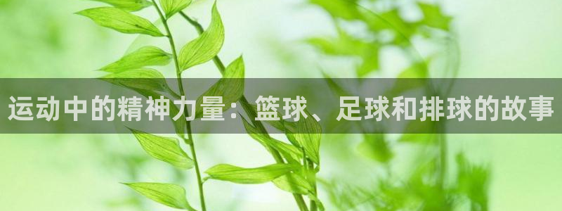 利记官网下载招商电话地址