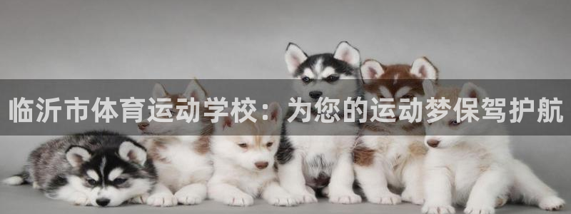 利记官网下载注册：临沂市体育运动学校：为您的运动梦保驾护航