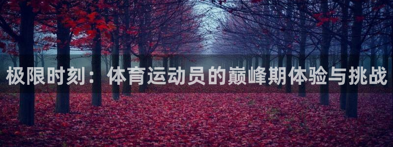 利记官方正版app集团官网首页网址：极限时刻：体育运动员的巅