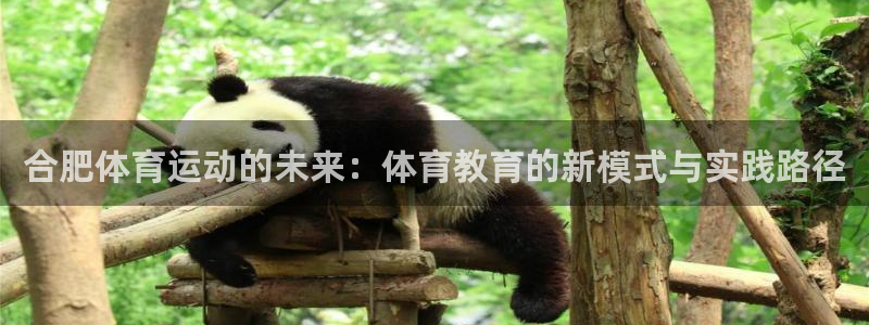 利记官方正版app集团：合肥体育运动的未来：体育教育