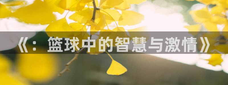 利记官方正版app集团简介：《：篮球中的智慧与激情》