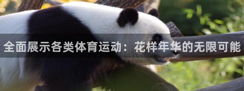 利记官网下载招商电话是多少号码：全面展示各类体育运动：花样年