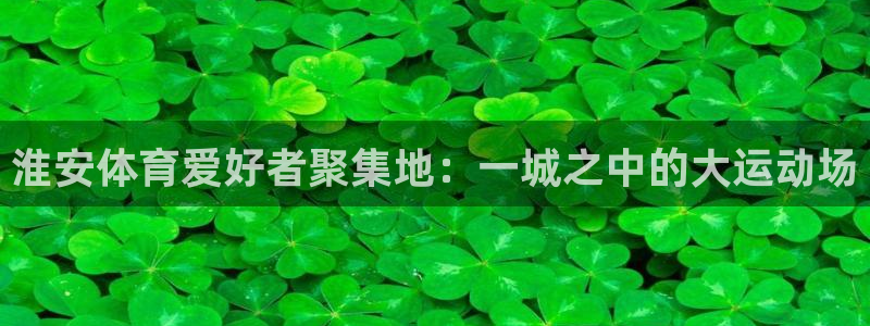 利记官网下载平台注册：淮安体育爱好者聚集地：一城之中的大运动